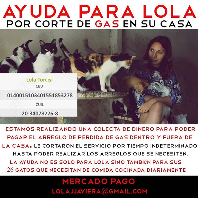 Volante con información sobre la colecta de dinero por corte de gas en la casa de Lola Torcisi. Se ven los datos de contacto, y en el centro una foto con diez de sus gatos